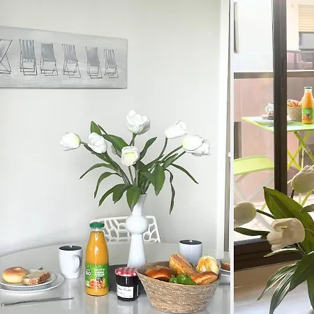 Apartment Nestor&jeeves - Rivoli Palm - Center - Very Close Sea Nice